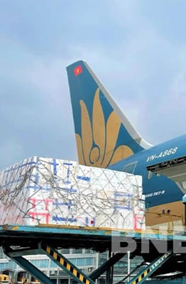 Vận chuyển vải quả đi quốc tế của Vietnam Airlines tăng gấp đôi